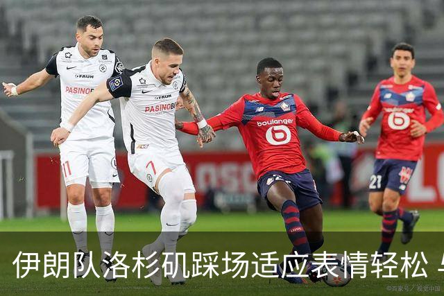 伊朗队洛杉矶踩场适应表情轻松 与挡板外记者们挥手致意